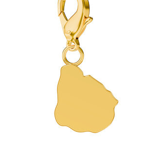 Conjunto de amuletos de bandera y mapa media 38