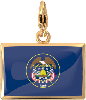 USA State Charm Set media 88