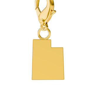 USA State Map Charms media 44