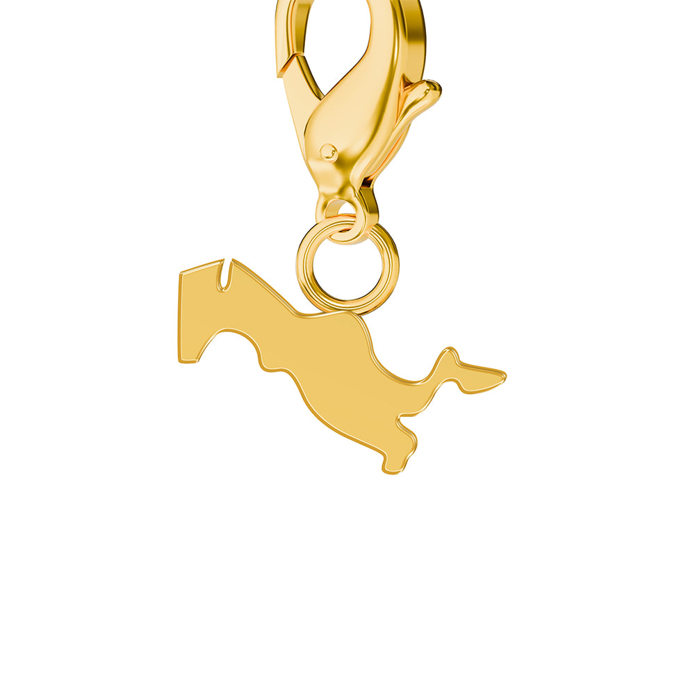 Conjunto de amuletos de bandera y mapa media 40