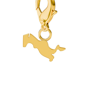 Map Charms media 193