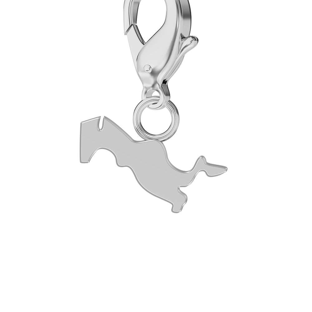 Conjunto de amuletos de bandera y mapa media 41