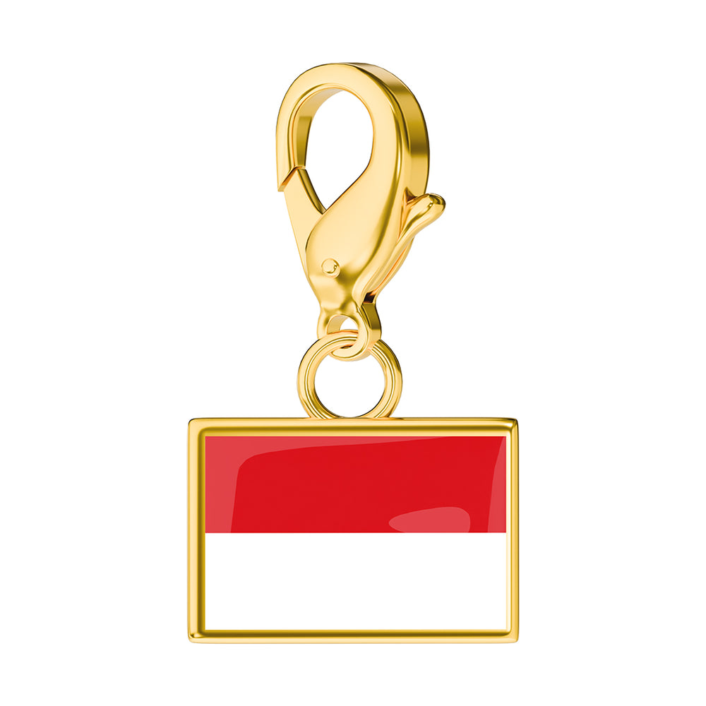 Flag & Map Charms Set (Pre-Order) media 49