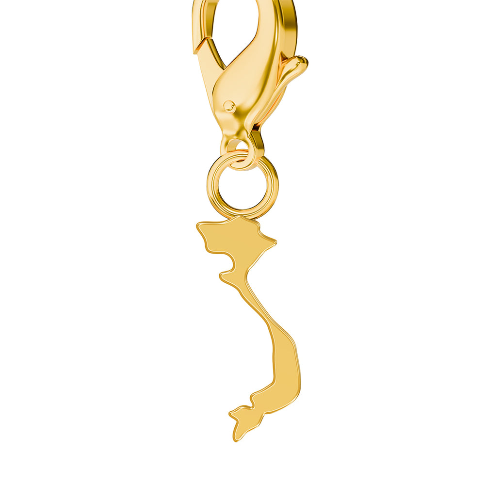 Conjunto de amuletos de bandera y mapa media 46