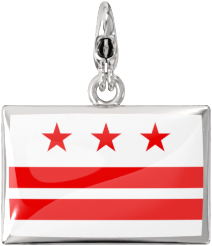 USA State Charm Set media 49