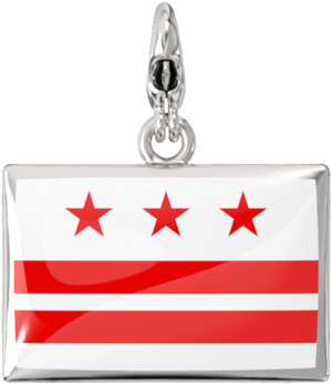 USA State Charm Set media 49