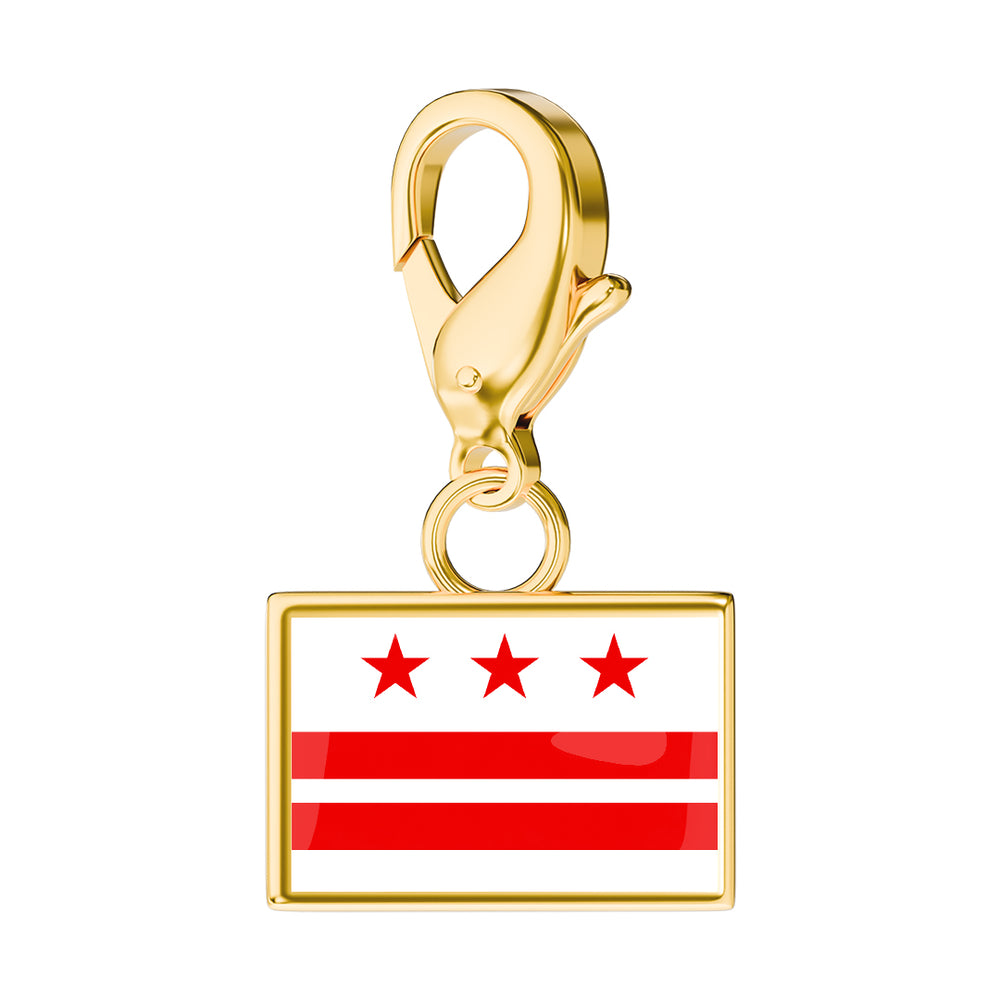 USA State Flag & Map Charms Set media 64