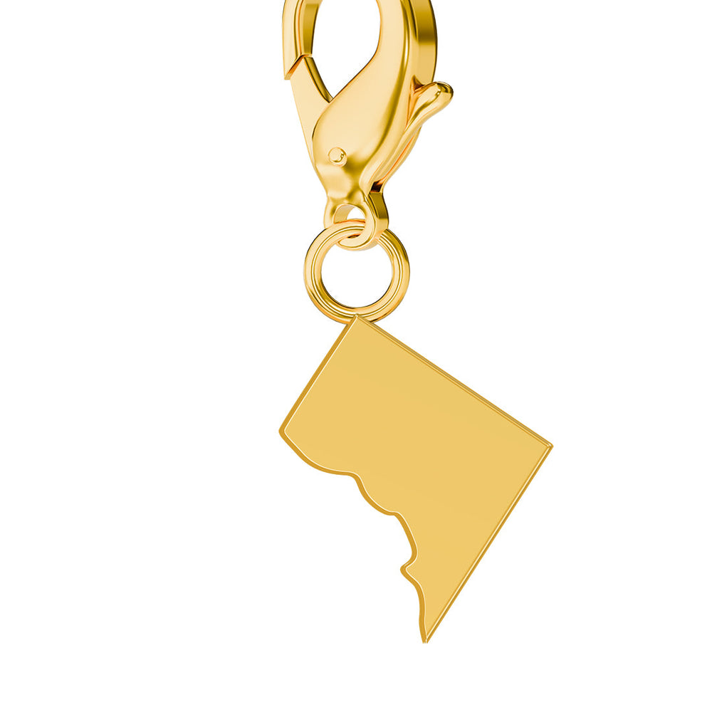 USA State Map Charms media 47