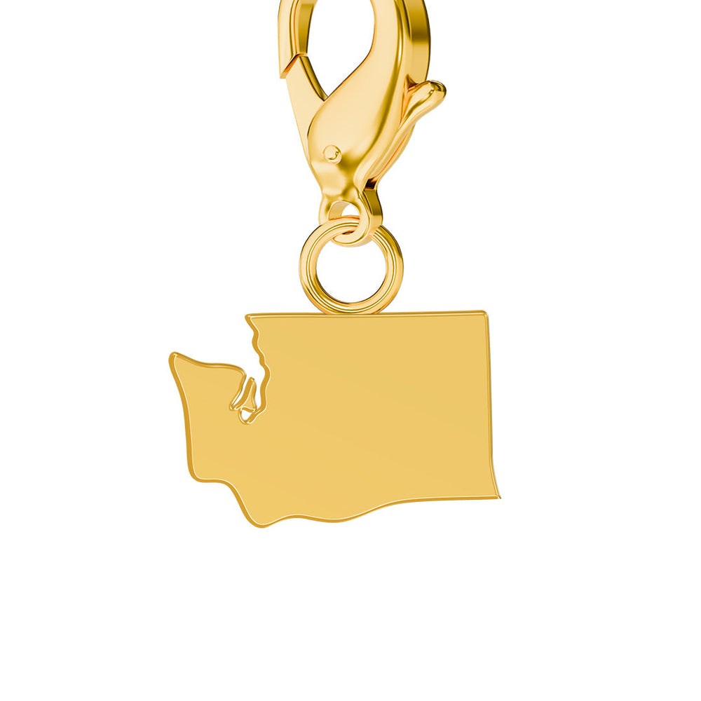 USA State Map Charms media 48