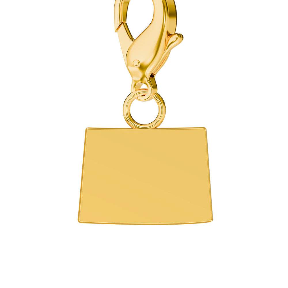 USA State Map Charms media 51