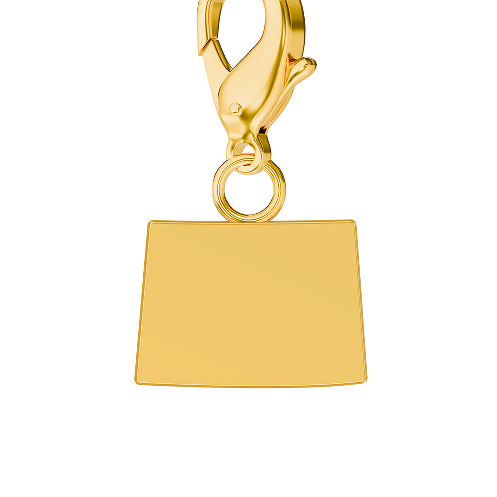 USA State Flag & Map Charms Set media 4