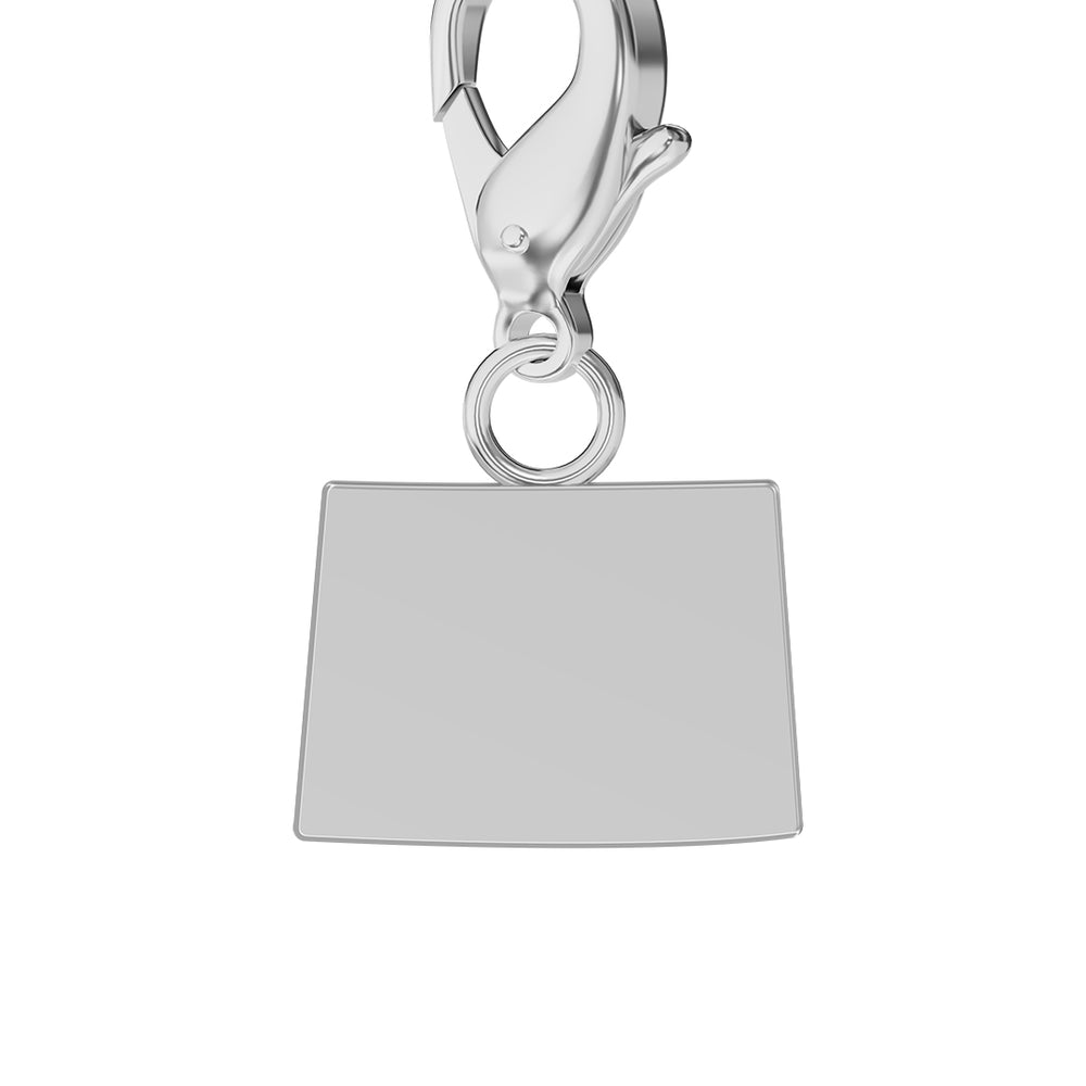 USA State Flag & Map Charms Set media 3