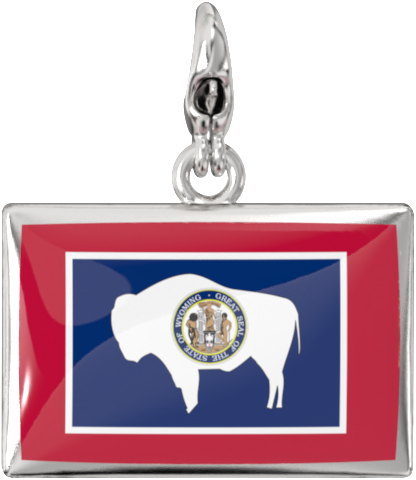 USA State Charm Set media 69