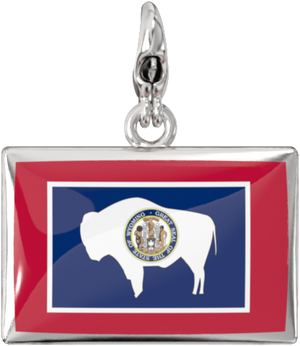 USA State Charm Set media 69